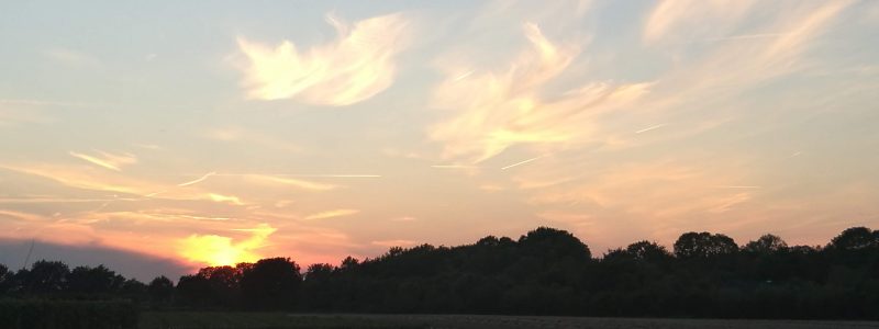 De Waterhoeven